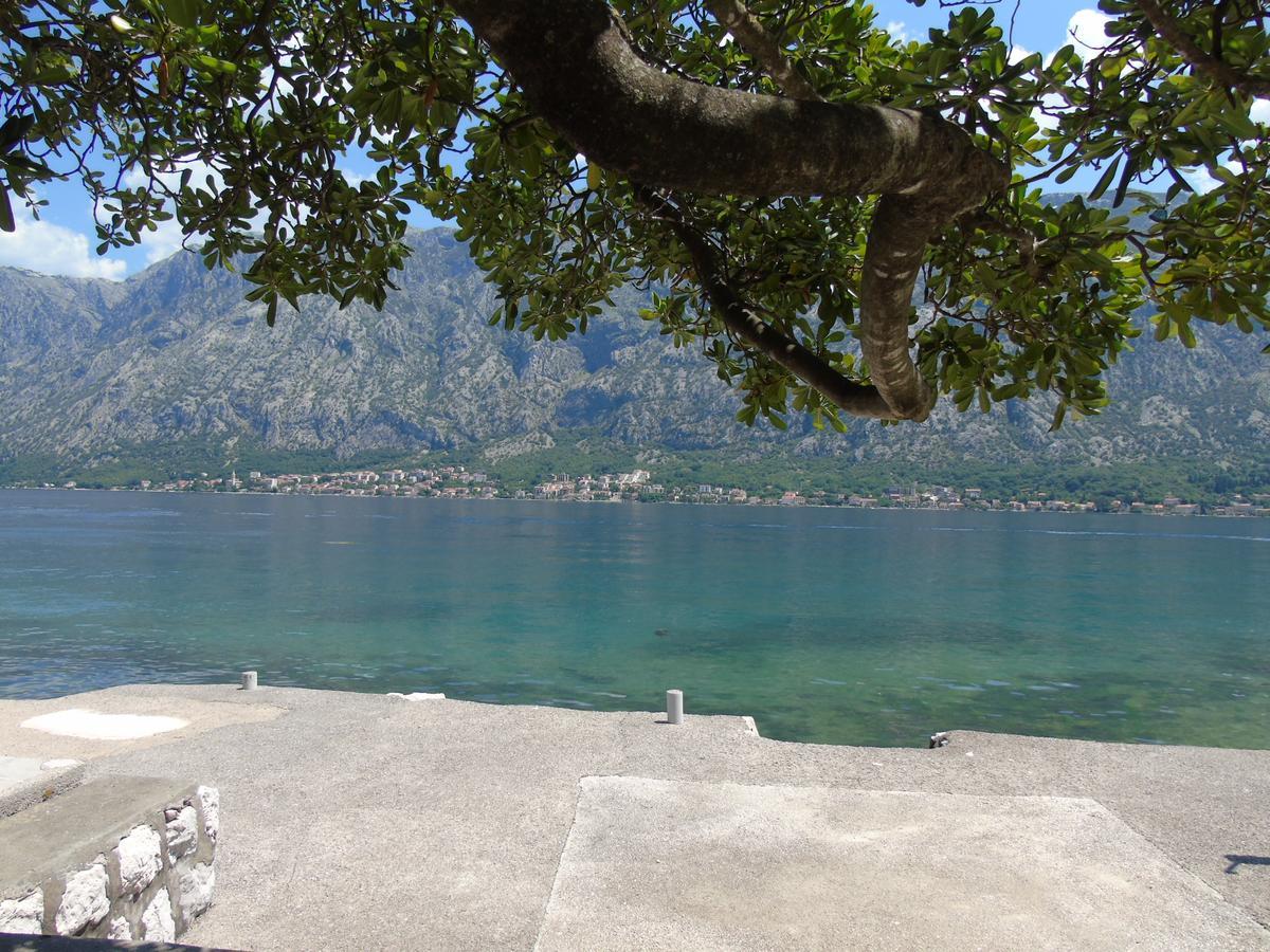 Apartments Marysol Kotor Exteriér fotografie